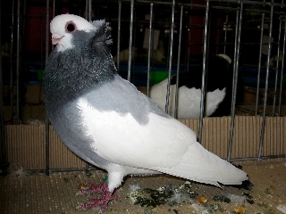 4b1e9fd812233.jpg