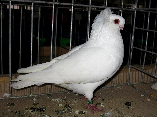 4b1ea0800626a.jpg